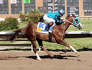 Roll Out the Band wins the 2014 Albuquerque Journal Stakes.