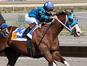 Roll Out the Band wins the 2014 Albuquerque Journal Stakes.