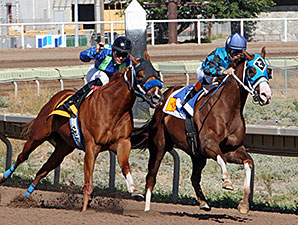 Roll Out the Band wins the 2014 Albuquerque Journal Stakes.