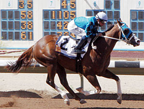 Roll Out the Band wins the 2013 Totah Stakes.