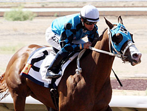Roll Out the Band wins the 2013 Totah Stakes.