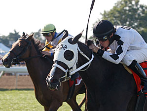 Romacaca wins the Taylor Made Matchmaker Stakes.