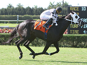Romacaca wins the 2011 Sara's Success.