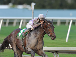 Ron the Greek wins the 2013 Florida Sunshine Millions Classic.