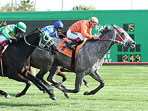 Ronda Rocks wins the 2014 Sun City Handicap.