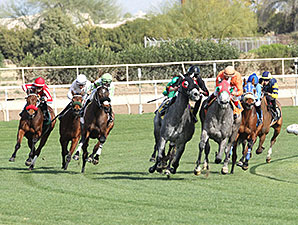 Ronda Rocks wins the 2014 Sun City Handicap.