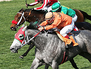 Ronda Rocks wins the 2014 Sun City Handicap.