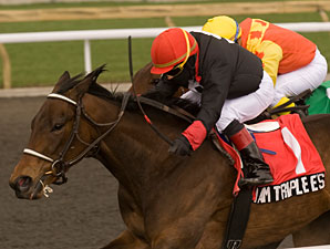 Rootham Triple E's wins the 2013 Star Shoot Stakes.