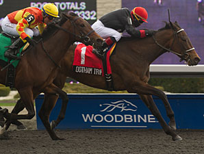 Rootham Triple E's wins the 2013 Star Shoot Stakes.