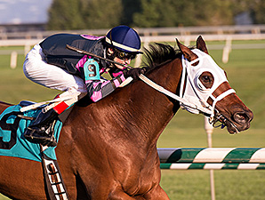 Rose Brier wins the 2014 Bert Allen Stakes.
