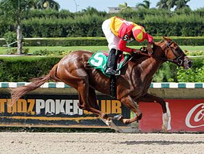 Rose to Gold wins the 2012 Brave Raj.