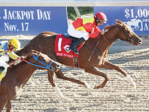 Rose to Gold wins the 2012 Delta Downs Princess.