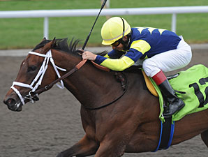 Roxy Gap wins the 2010 Shady Well.