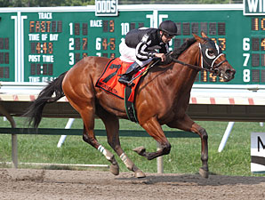 Royal Currier wins the Mr Prospector Stakes.