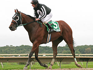 Royal Currier wins the 2011 Gallant Bob Stakes.