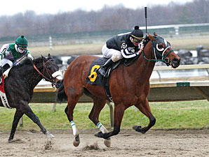 Royal Currier wins the 2011 Valley Forge Stakes.