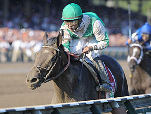 Royal Delta wins the 2011 Alabama.