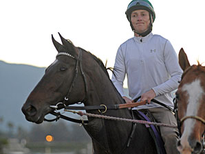 Royal Delta - Santa Anita October 30, 2012.