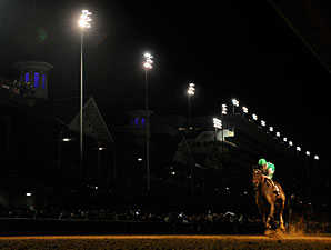 Royal Delta wins the 2011 Breeders' Cup Ladies' Classic.
