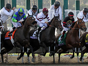 Royal Delta wins the 2012 Breeders' Cup Ladies' Classic.