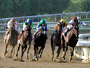 Royal Delta wins the 2012 Breeders' Cup Ladies' Classic.