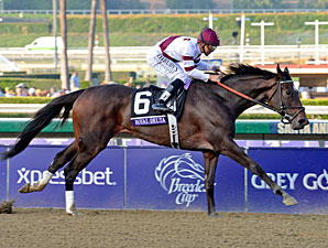 Royal Delta wins the 2012 Breeders' Cup Ladies' Classic.