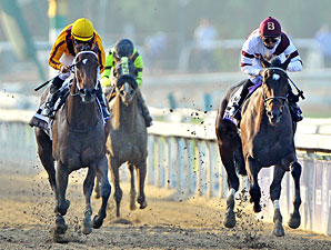 Royal Delta wins the 2012 Breeders' Cup Ladies' Classic.