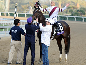 Royal Delta wins the 2012 Breeders' Cup Ladies' Classic.