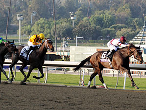 Royal Delta wins the 2012 Breeders' Cup Ladies' Classic.