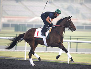 Royal Delta - Dubai, March 25, 2013.