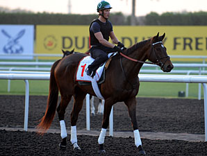 Royal Delta - Dubai, March 27, 2013.