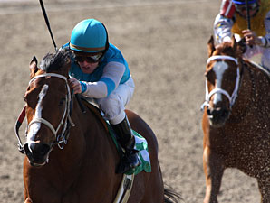 Royal Express wins the 2010 Black Gold.