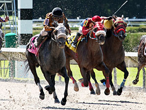 Rule Number Six wins the 2013 Sumter Stakes.