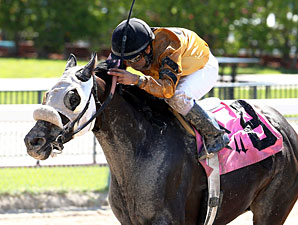 Rule Number Six wins the 2013 Sumter Stakes.
