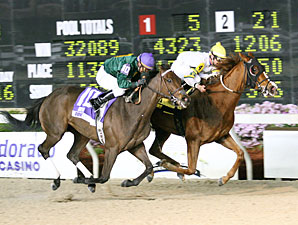 Ruling Class wins the 2009 Lookout Stakes.
