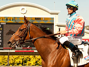 Rumor wins the 2011 C.e.r.f. Stakes.