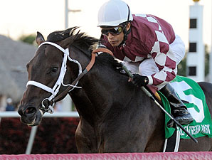 Rydilluc wins the Palm Beach Stakes.