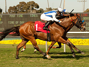 Ryehill Dreamer wins the 2011 American Handicap.
