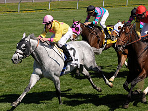Silver Timber wins the 2010 Shakertown.