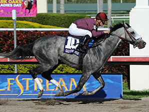 S. S. Stone in the 2011 Skip Away Stakes.