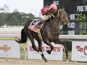 Sabercat wins the 2011 Delta Downs Jackpot.