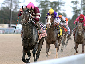Sabercat wins the 2011 Delta Downs Jackpot.