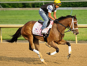 Sacristy - Churchill Downs, May 3, 2012.