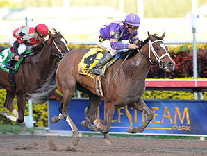 Sacristy wins the 2012 Old Hat.