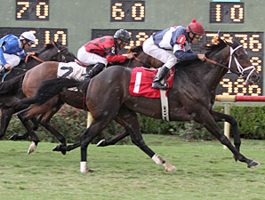 Sadie's Soldier wins the 2012 Louisiana Cup Turf Classic.