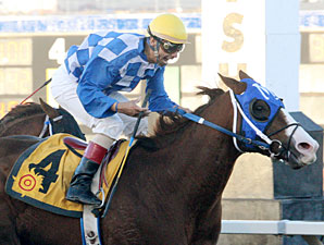 Safe Trip wins the 2012 KLAQ Handicap.