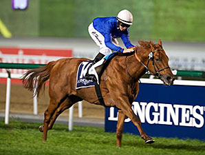 Safety Check wins the 2015 Longines Conquest Classic at the Dubai Racing Carnival.