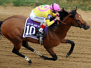 Sage Valley wins the 2013 Maryland Sprint Handicap.