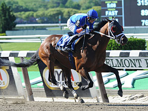 Saginaw wins the 2012 Affirmed Success.