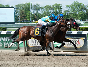 Saginaw wins a Starter/Optional Claimer on May 12, 2013.